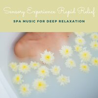 Meditation Music on the Shore of Sea - Spa Massage Club