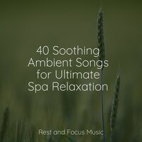 Magical Atmosphere - Mindfulness Meditation Universe & Shakuhachi Sakano & Spa Relaxation