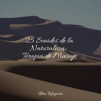 Reiki - Academia de Meditação Buddha & Zona Música Relaxante & Canciones De Cuna Para Dormir Bebes