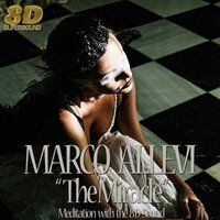 Colors of Butterfly - Marco Allevi