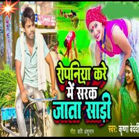 Ropaniya Kare Mein Sarak Jaata Sari - Krishna bedardi