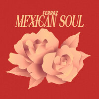Desvelado - Ferraz