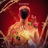 Novinho Interesseiro - Melissonica & TrickNyck
