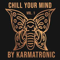 The Drums of the Electronic Forest - Karmatronic