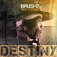 They Are Going Down - Brushy One String