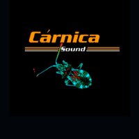 Satisfacción - Carnica
