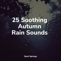Ocean, Jetty, Small, Light Metal - Sounds of Rain & Thunder Storms & Rain Sounds ACE & Rain Shower Spa