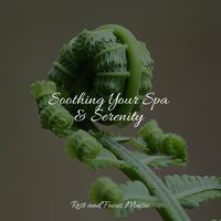 Truly Enjoyable - Study Music & Sounds & The Sleep Helpers & Relaxed Minds