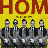 Кто же черепаха - НОМ