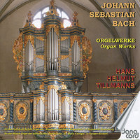 Triosonate No. 6 G-Dur, BWV 530: III. Allegro - Hans Helmut Tillmanns & Johann Sebastian Bach