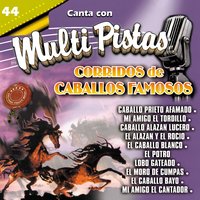 Mi Amigo el Cantador - M.M.P.