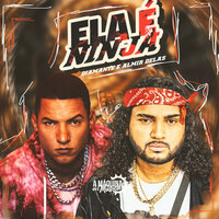 Ela é Ninja - Diamante & Almir Delas