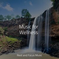 Dance in Morning Air - Classical Study Music & Music to Relax in Free Time & White Noise Sound Garden