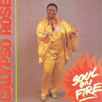 Banana - Calypso Rose