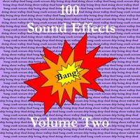 Water Hole - Nature Sounds & Sound Effects