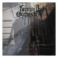 Snow and Salt - Farewell Orchestra