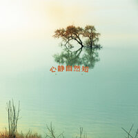 心静自然知 - 禅修音乐盒