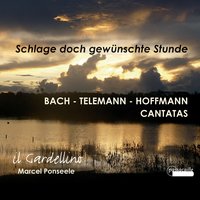 Cantata TWV4,17 "Du aber Daniel, gehe hin": II. Recitativo: “Mit Freuden folgt die Seele” - Георг Филипп Телеман & Dominik Wörner