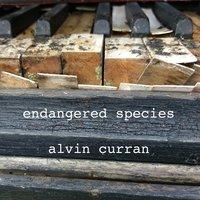 Memories of You - Alvin Curran