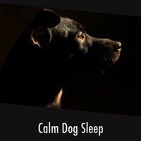 Pup Friends Eloquence - Dog Sleep Relaxation