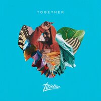 Rudeboy Roots - Terrone
