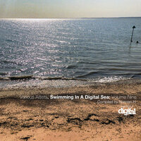 Critical Damage - Lucas Rossi & Funkstate