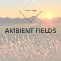 Spirit of Harmony - Ambientology
