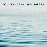 Rápidos y Tierra - Tiempo de relajación natural & Sonidos Naturaleza & Sonidos De Agua