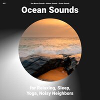 Ocean Sounds Pt. 31 - Nature Sounds & Ocean Sounds & Sea Waves Sounds