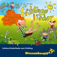 Das Schönste am Frühling - Sternschnuppe