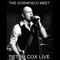 Change - Peter Cox