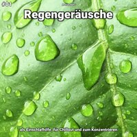 Regengeräusche, pt. 49 - Matties Nehl