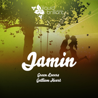 Gallium Heart - Jamin