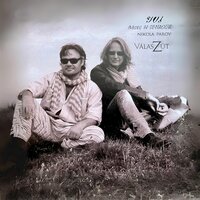 Every Time - Nigel H. Seymour & Nikola Parov