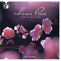 Turning Towards Home - Tom Ameen