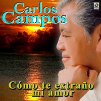 Lagrimas De Amor - Carlos Campos
