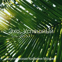 Живой - Готовка - Акустическая Кофейня Музыка