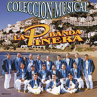 Mi Problema - Banda La Piñera