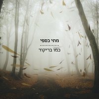 זמנים מודרניים - Matti Caspi
