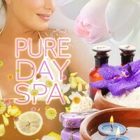 Nature Sounds - Pure Day Academy