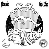 GTXSLIME - Flansie