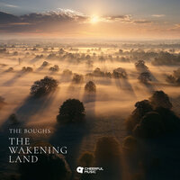Beginnings - The Boughs