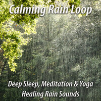 Soothing Rain With Birds For Meditation - John Nature