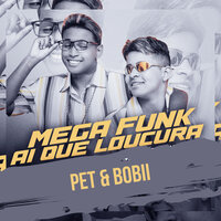 Mega Funk Ai Que Loucura - Pet & Bobii