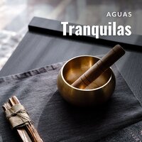 Música Suave Instrumental De Spa - Cuencos Tibetanos