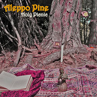3rd Eye - Aleppo Pine