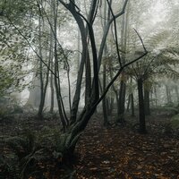 Storm & Wind Outside - Pro Sounds of Nature & Rain Sound Studio & Ruído branco