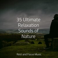 You Are OK - Ruído branco & Sleep Songs 101 & Anxiety Relief