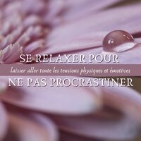 Détente - Calme