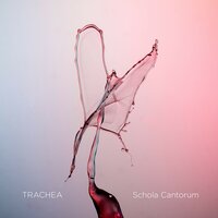 Trachea - Schola Cantorum & Tone Bianca Sparre Dahl & Marie Solum Gran & Niklas Sebastian Grenvik & Daniel Weiseth Kjellesvik & Julius Pranevičius